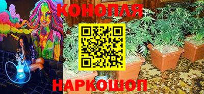ГАЛЛЮЦИНОГЕННЫЕ ГРИБЫ Коммунар