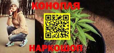 шишки Конаково