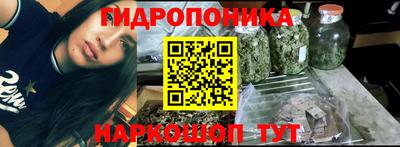 шишки Конаково