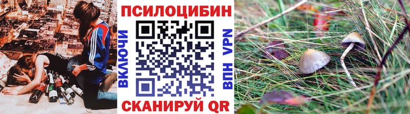 Галлюциногенные грибы мухоморы наркошоп Кизляр
