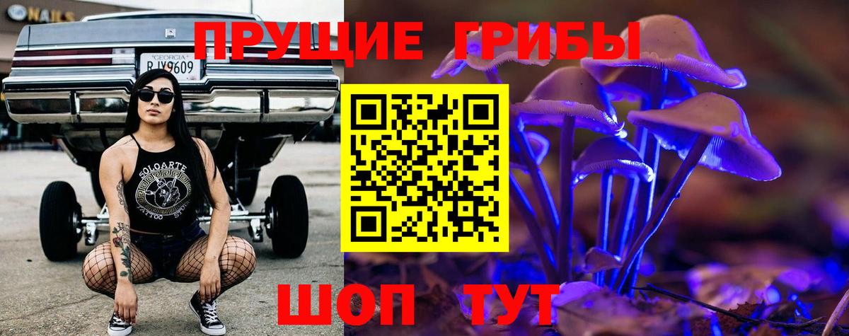 Галлюциногенные грибы мицелий Кизляр