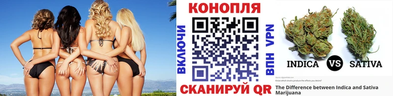 Марихуана тримм  как найти   Кизляр 